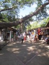 The tourist market on an island on the River Cuale in Puerto Vallerta