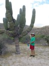 Matthew gesturing to a cactus on Isla Espiritu Santo