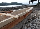 A new outrigger canoe is being made - out of blue water wood.