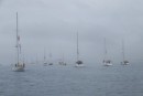 The fleet heads out for what was supposed to be the Grand Prix de St-Pierre, our last opportunity to redeem ourselves with prizes, but the lack of wind and the fog turned the whole business into a sailpast to salute the Bluenose II.