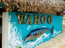 Wahoo Beach Bar