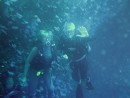Diving Rainbow Reef