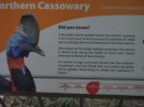 Cassowarie Sign