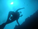 Diving Tonga