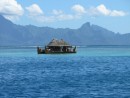 Tahiti, looks like a floating restaurant