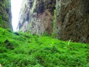 Lush and green waterfall in Nuku Hiva