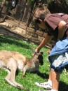 Cole making friends w/a kangaroo