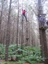 Cammi getting challenged on the adreneline course at Adventure Forest in Whangarei, NZ