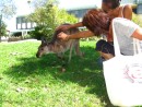 Monique and Cammi petting a hand-raised female kangaroo...yes she