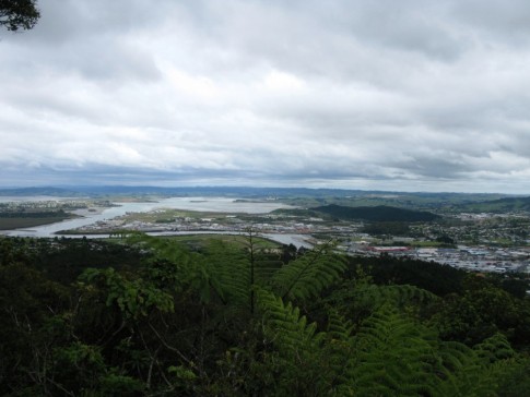 View from mountain overlooking Whangarei