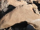 #21 petroglyth on Playa Burro hike