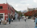 19 cobblestone streets of Oaxaca