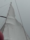 now how did that happen ???

(strong winds one night during a squall; had to loosen the stay to get it free and and put one reef in the sail to prevent another occurrence - always something)