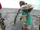 caught three fish while crossing; this was our last one - 20 pounder.  We think it was a bonita - some kind of delicious tuna