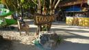 Foxy’s restaurant on Jost Van Dyke Island.  Had a very nice BBQ dinner there that evening.