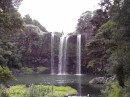 Whangarei Falls base