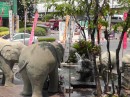 Whimsical elephant fountain reminding us of our day with the pachyderms. 