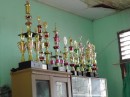 trophy display for awards won by school