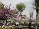 Another view of the Haghia Sophia that we just had to snap -tulips and cherry blossoms?