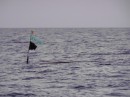 then there are the little black flags marking fishing territories - even way out to sea - definitely not visible at night