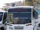 17 personalized city buses Ixtapa-Zihuatenajo