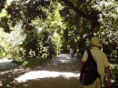 A walk through the National Botanical Gardens