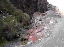 bright red rocks enroute to Fox Glacier