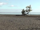 nice black sand beach