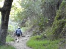 Dennis leading the way on Cold Springs Trail to Tangerine Falls