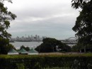 city, including Sydney Harbor Bridge, as seen from teh zoo