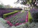 flower gardens in Hyde Park