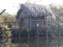 jungle cruise river dwellings