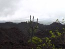 Isla Isabella - Volcan Sierra Negra vegetation starting to grow back