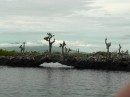 Isla Isabella - Las Tuneles