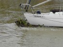 Boat moored in the heavy current of Rio Chone on mainland Ecuador, Bahia de Caraquez, debris collected daily as tides went in and out