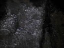 Santa Cruz lava tunnel - condensation on sides glittered like diamonds