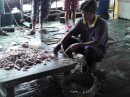 Pangkor Island fish factory