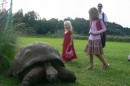 At the Governors house where the oldest tortoise in the world lives - Jonathan is 175 years old!!
