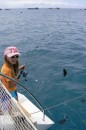 Zoe catching triggerfish - these are like little piranhas - they have small mouths and very strong jaws. They eat everything and are all over. They sey if you can