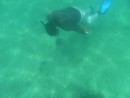 Mexican Pescadors Calm Diving