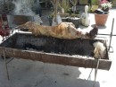 Lamb on the spit