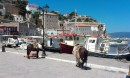 Donkeys & boats in the harbour