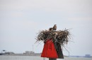Osprey nest - as seen on most markers