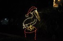 Christmas lights, Southern style...a pelican