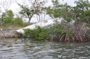 Results of a hurricane - Hatchet Bay