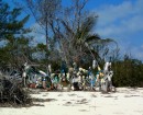 Flotsam and Jetsom decorations on the Atlantic side beach, Green Turtle Cay