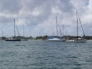 Yachts at Bums bay