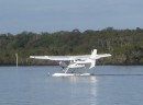 That pesty float plane, just like an Aussie fly.