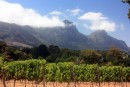 Groot Constantia Wine Estate with table mountain in background