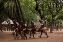 Duma Zulu village - dancing